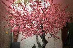 仿真桃花樹保養(yǎng)