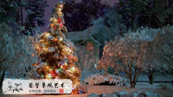圣誕樹由來