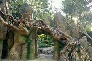 仿真樹的制作流程