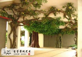 室內(nèi)包柱子果樹(shù)