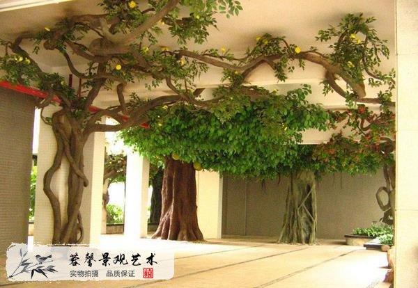 室內(nèi)包柱子果樹