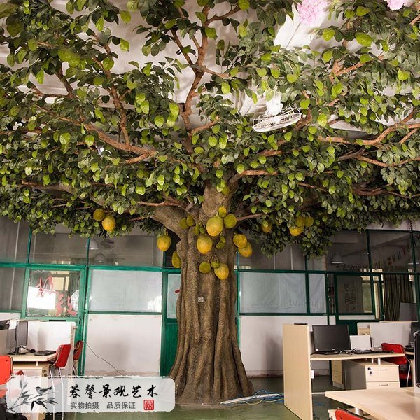 室內(nèi)包柱子果樹