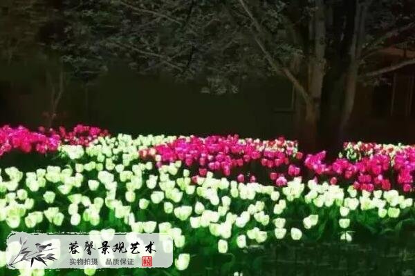 發(fā)光仿真花卉.jpg
