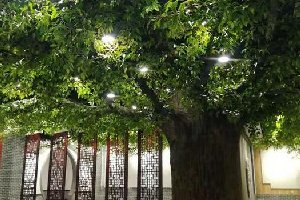 仿真榕樹應(yīng)用