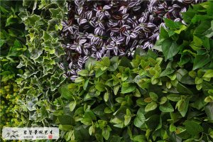 垂直綠化圍擋