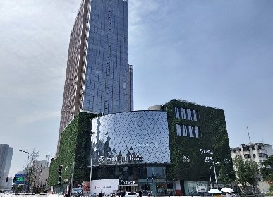 商場植物墻
