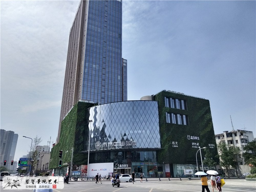 成都大型商場(chǎng)室外防抗紫外線植物墻 (1)
