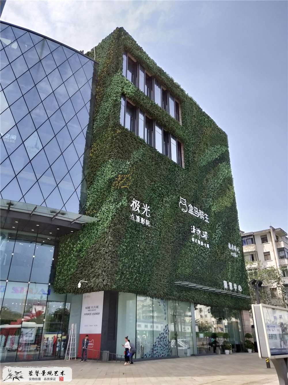 成都大型商場(chǎng)室外防抗紫外線植物墻 (3)