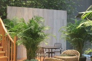 仿真植物搭配真植物