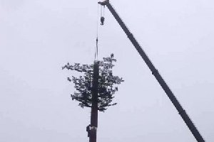 通信基站仿真樹