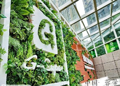 世貿(mào)大廈仿真植物墻