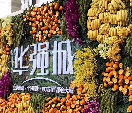 華強(qiáng)城水果植物墻