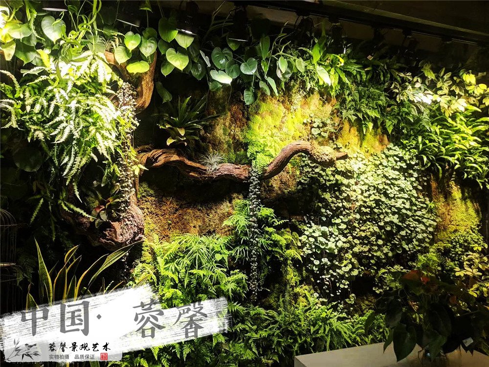 成都垂直綠化案例，泛悅國際生態(tài)咖啡廳 (1)