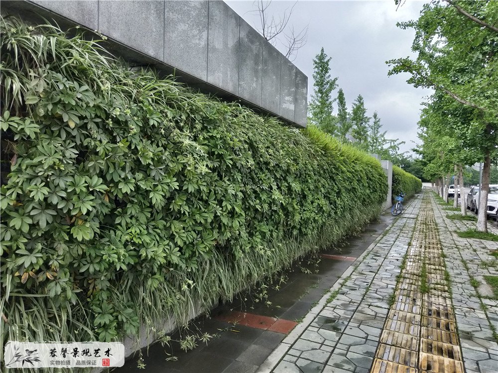 成都雙流區(qū)香港城市大學(xué)研究所立體植物墻制作 (2)
