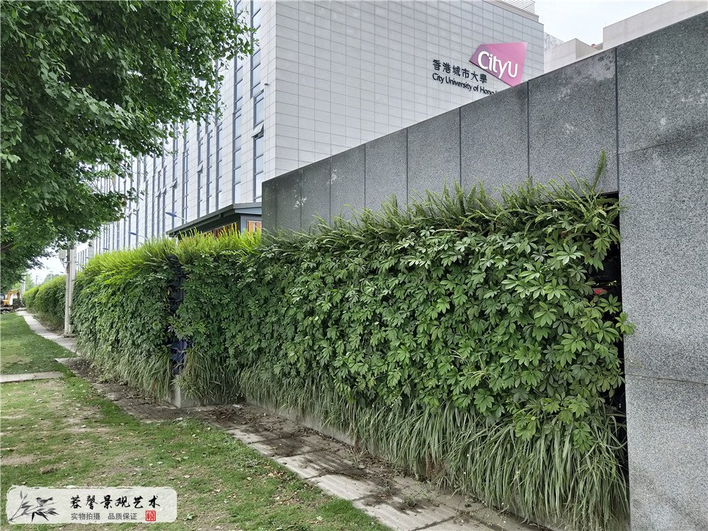 成都雙流區(qū)香港城市大學(xué)研究所立體植物墻制作 (1)
