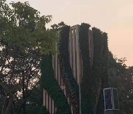 深圳藝術(shù)植物墻