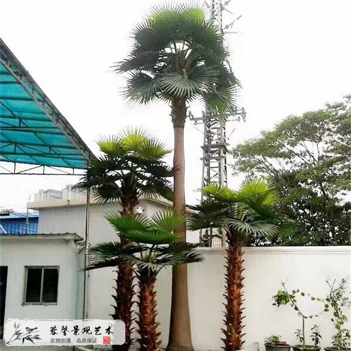 仿真棕櫚樹