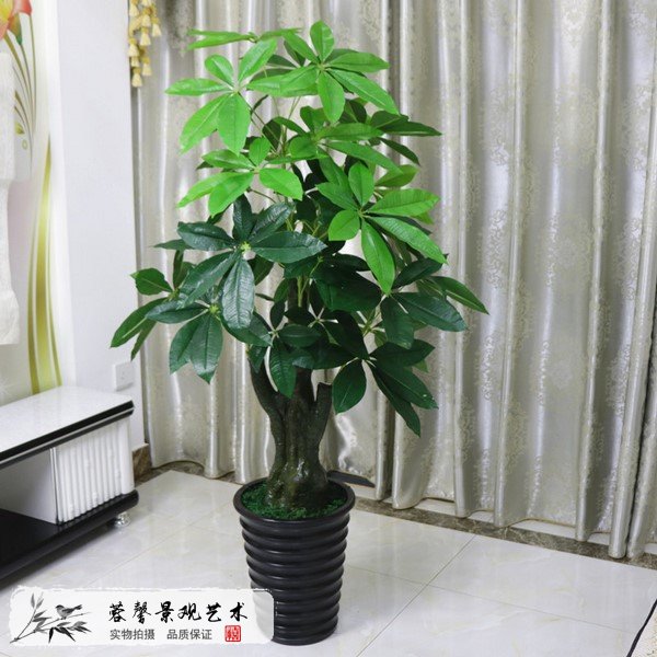 仿真發(fā)財(cái)樹(shù)價(jià)格