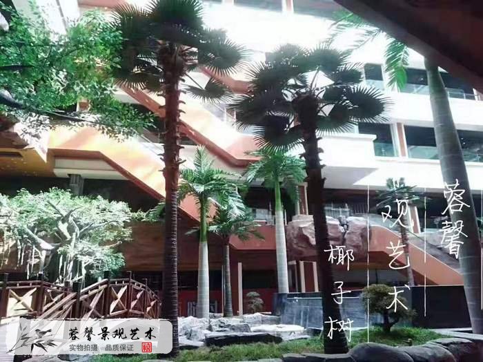 南亞熱帶風(fēng)情