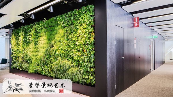 仿真植物墻保養(yǎng)