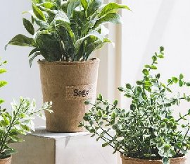仿真植物室內(nèi)裝飾
