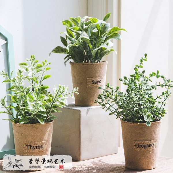 仿真植物室內(nèi)裝飾