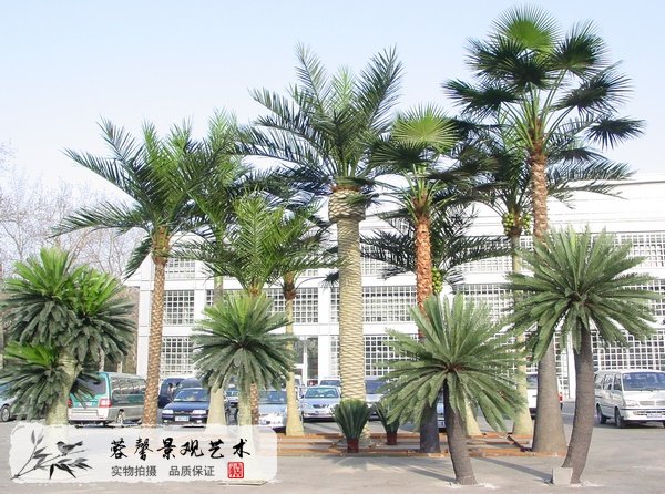 冬季仿真樹種類