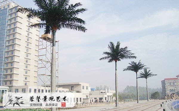 冬季仿真樹種類