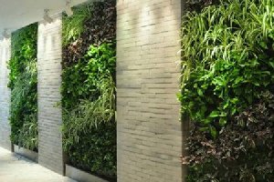 仿真植物墻越來(lái)越受歡迎