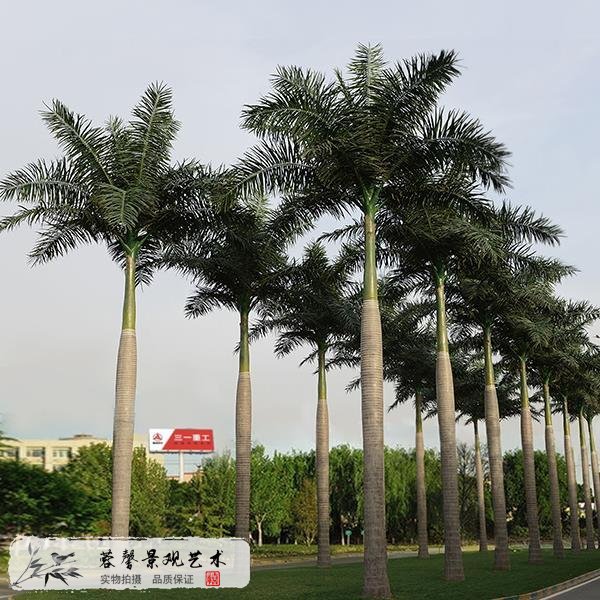 仿真椰子樹廠家