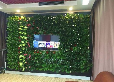 辦公室電視背景植物墻