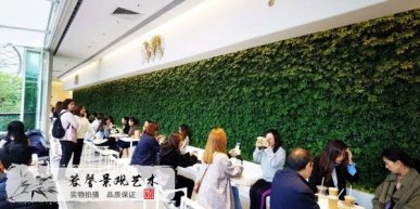 奶茶店植物墻