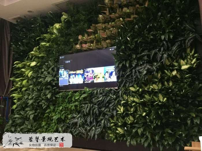辦公室電視背景植物墻
