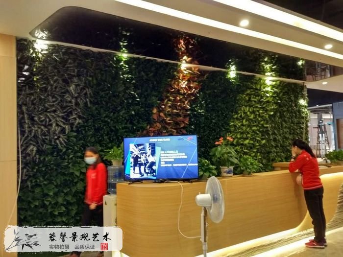 辦公室電視背景植物墻