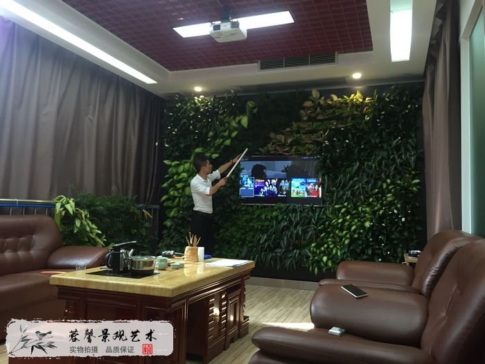 辦公室電視背景植物墻