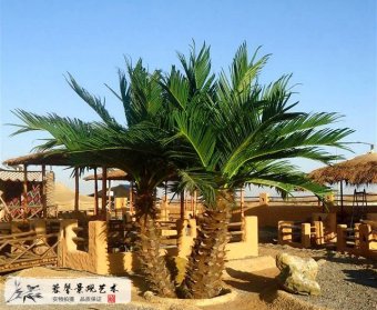 仿古仿真棕櫚樹