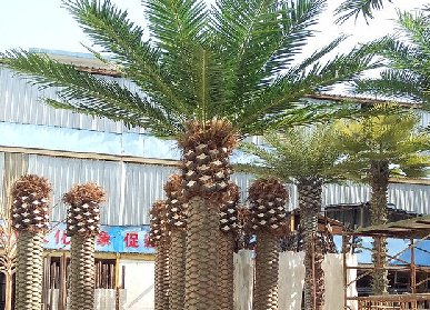 群植仿真棕櫚樹