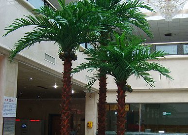 仿真棕櫚樹保養(yǎng)