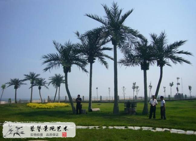 常見仿真棕櫚樹