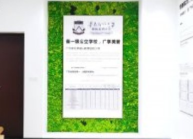 學(xué)校苔蘚植物墻