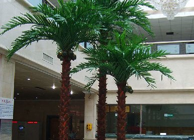 室內(nèi)仿真棕櫚樹