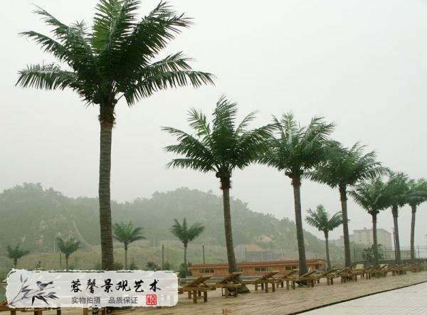 沙灘仿真椰子樹