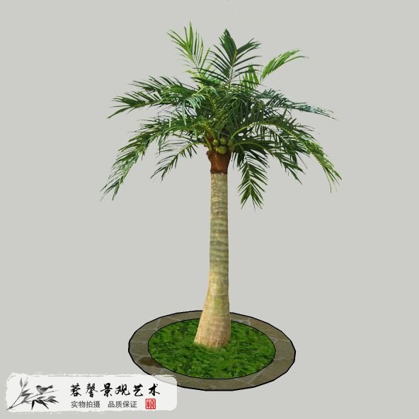 室內(nèi)外仿真椰子樹