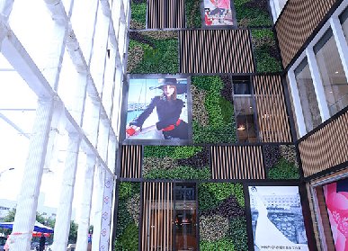 商場仿真植物墻
