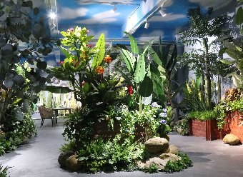 仿真植物的集合