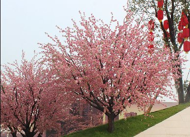 仿真樹裝飾