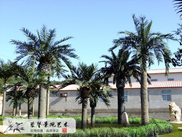 公園仿真海藻樹