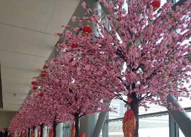 仿真桃花樹特征和應(yīng)用