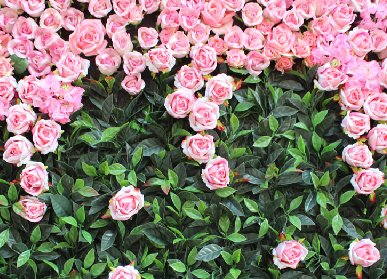 仿真植物助力綠色生活