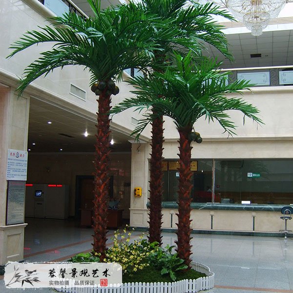 仿真保鮮棕櫚樹(shù)